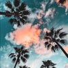 sydneyanders535